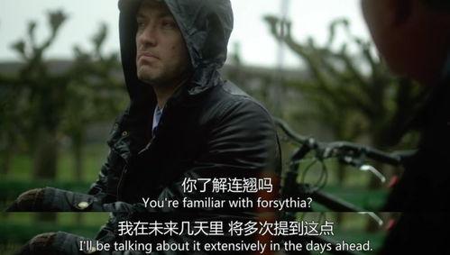 韩美最新爆料电影大全在线观看,独家在线观看，揭秘影视幕后风云