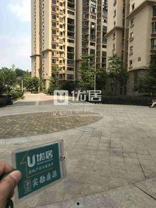 贵阳花园爆料最新消息视频,视频揭秘惊人内幕