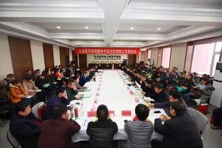 和平区最新爆料新闻事件,最新爆料揭示惊人真相