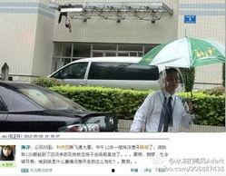 新飞最新爆料,揭秘科技巨头新动向