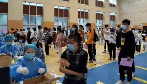 镇平爆料传销案件最新消息,揭秘涉案人员及资金流向追踪