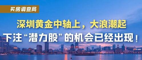深圳大浪最新爆料,揭秘发展新蓝图与未来亮点